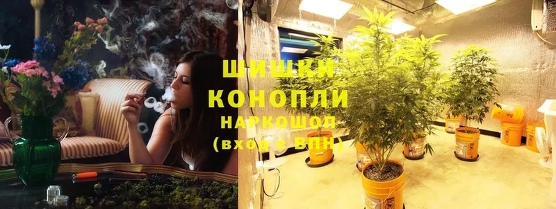 где купить наркоту  Дудинка  Канабис Ganja 